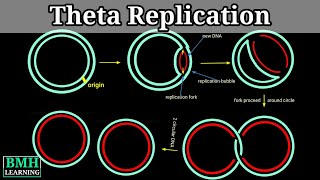 Summary of DNA Replication [upl. by Zuzana]