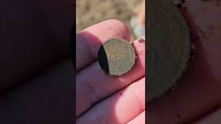 Green metaldetecting treasurehunting viralshorts [upl. by Mcfadden]