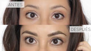 Cómo Teñirse las Cejas en Casa Tutorial [upl. by Eugatnom244]