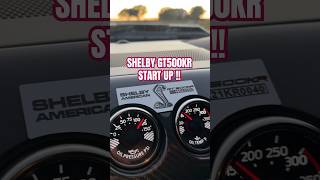 SHELBY GT500KR START UP  shelby startup mustang [upl. by Spielman]