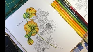 LIVE Coloring In Flower Year Coloring Book by Leila Duly With Arteza Colored Pencils [upl. by Lednyk323]