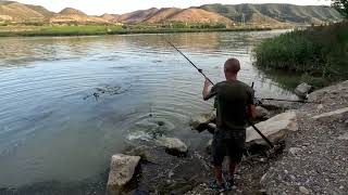 Carp fishing  Ebro Mequinenza 2023 pesca de la carpa [upl. by Nore1]