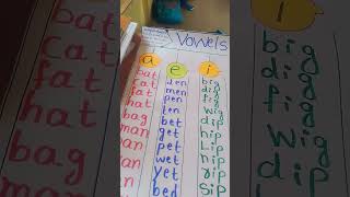 Vowels chart for English teach in students 🥰🥰🥰🥰amp [upl. by Asilef]