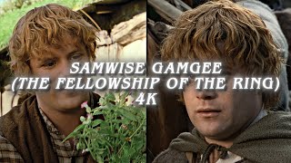 samwise gamgee scenepack the fellowship of the rings 4k [upl. by Dalpe]