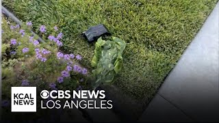 Temecula neighbors disturbed to find hidden camera in front yard of their home [upl. by Hanny18]