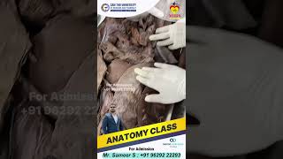 Anatomy Unveiled Cadaver Training Insights MBBS IN VIETNAM mbbsinvietnam aieraaoverseasstudies [upl. by Eeslek]