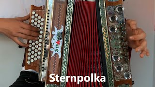 Sternpolka  Steirische Harmonika [upl. by Coleman]