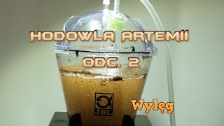 2  Hodowla Artemii  Brine Shrimp Hatchery JBL Artemio 1 [upl. by Curcio]