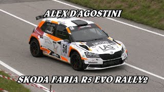 SALITA PEDAVENA  CROCE DAUNE 2024  ALEX DAGOSTINI  SKODA FABIA R5 EVO RALLY2  BY BELLUNOVIDEO [upl. by Portugal979]