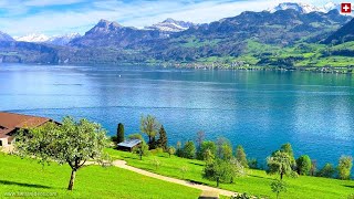 🇨🇭 The Beauty of Central Switzerland along Charming Lake Luzern aka Vierwaldstättersee [upl. by Wilhide83]