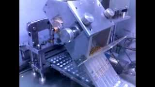 alu alu blister pack machine with thermo amp cold forming [upl. by Carlile]