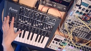 Arturia MiniBrute Analog Synth Demo [upl. by Killarney]