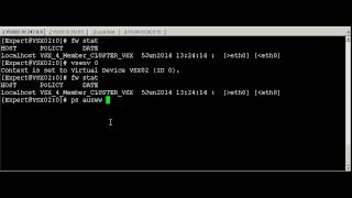 CheckPoint VSX  Step 9 of sk97552 [upl. by Eastlake]