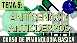 Antígenos y Anticuerpos Inmunoglobulinas Inmunógenos Haptenos Determinantes o Epítopos [upl. by Clio]