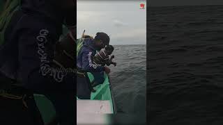 Catching King Fish in the Deep Sea fishing fishingvideo oceanfishing [upl. by Htinnek616]