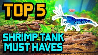 Top 5 Shrimp Tank Must Haves [upl. by Linoel282]