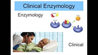 Clinical Enzymology [upl. by Claudie]