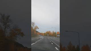 Beautiful Autumn view sundsvall sweden autumn reels beautifulnature nature [upl. by Assej]