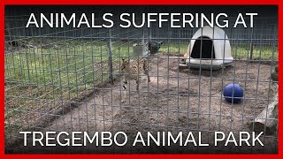 Animals Suffering at Tregembo Animal Park [upl. by Llenad]