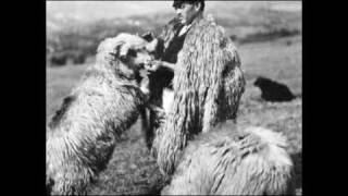 Sârbă ciobănească  Pastoral dance [upl. by Demitria]