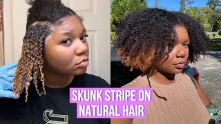 How I Do the Skunk Stripe on Natural Hair Crème of Nature Lightest Blonde [upl. by Baillieu]