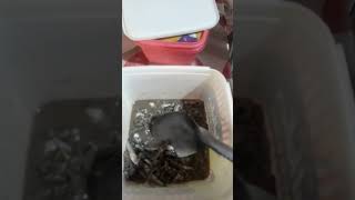 Paano magluto ng bagoong isda [upl. by Enois866]