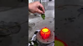 Color changing teapot add some color to your tea time teapots fypシ゚viral diy [upl. by Gnehs515]