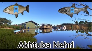 Akhtuba Nehri  Aktif Sazan Merası  RussianFishing4 [upl. by Willey726]