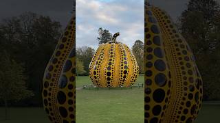 Yayoi Kusama London kusama art exhibition explore japanese london shorts [upl. by Assilav]