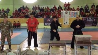 Aykikendo full contact karate 2015 [upl. by Killoran868]