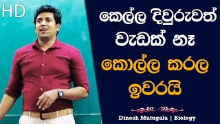 සුදාප්පච්චි කරපු වැඩක් 😂  Dinesh Muthugala  dineshmuthugala muthugalasir [upl. by Hump48]