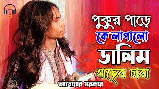 পুকুর পাড়ে কে লাগালো ডালিম গাছের চারা  Anwar Sarkar [upl. by Kurtzman91]