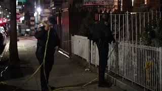 Elderly Pair Knifed to Death in Brooklyn Home [upl. by Stefanac]