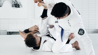 Rafael Mendes  Backtake Variation from Waiter Sweep  artofjiujitsucom [upl. by Ramma]