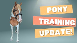 Pony Training Vlog  Groundwork and riding [upl. by Padget]