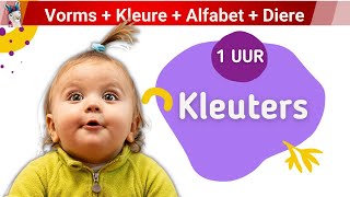 Les 4 Vorms  Kleure  Alfabet  Diere kleuters lami afrikaans [upl. by Lrat]