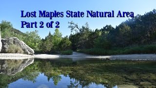 Lost Maples SNA Part 2 [upl. by Ahpla]