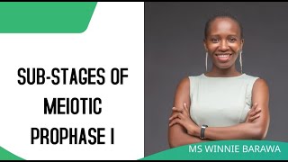 SUBSTAGES OF PROPHASE I OF MEIOSIS LEPTOTENE ZYGOTENE PACHYTENE DIPLOTENE DIAKINESIS [upl. by Aynatal]