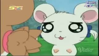 HAMTARO  Episode 02  Kencan Kerlip [upl. by Nnyleahs]