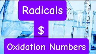 Radicals and Oxidation Numbers [upl. by Moyra266]