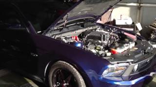 2012 Mustang Gt Whipple Dyno [upl. by Duwalt]