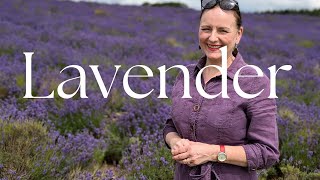 FEEL GOOD FRIDAY  LAVENDER amp MEADOW FIELDS  INTRO TO FENG SHUI MOVING HOUSE  Life with Josephine [upl. by Ethelind285]