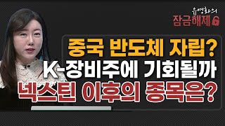 유영화의 잠금해제 중국 반도체 자립 K장비주에 기회될까 넥스틴 이후의 종목은  머니투데이방송 증시 증권 [upl. by Llyrad]