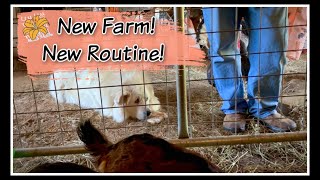 NEW Farm RoutineMOVING VLOG 20 [upl. by Hollenbeck]