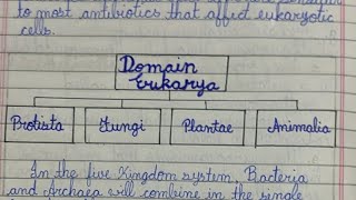 domain eukarya consists of 4 Kingdoms Kingdom Protista fungi plantae and animalia [upl. by Eentrok]