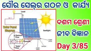 solar cell class10 life science class10 internal assessment 3 life science principle of solar cell [upl. by Okkin]