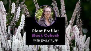 Plant Profile Black Cohosh with Emily [upl. by Skipper]