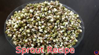 ફણગાવેલા કઠોળ મગ amp મઠ બનાવવાની રીત Sprouts Recipe In Gujarati [upl. by Ennoirb]