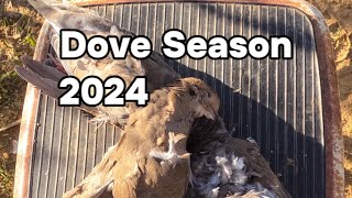 Dove Season is Open [upl. by Copp]