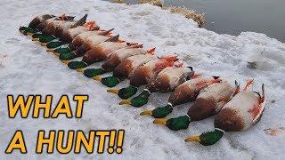 The BEST Mallard Hunt of My Life  Public Land Duck Hunting 2019 [upl. by Richia740]